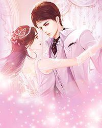 帝少专属：女人，结个婚