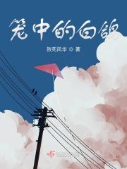笼中的白鸽